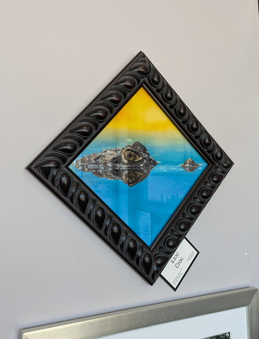 Croc framed Photo Chrome print